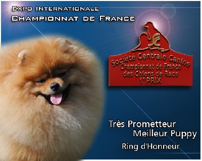 du Spitz Love - CHAMPIONNAT de FRANCE