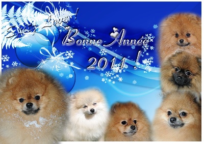 Bonne Année 2012 !